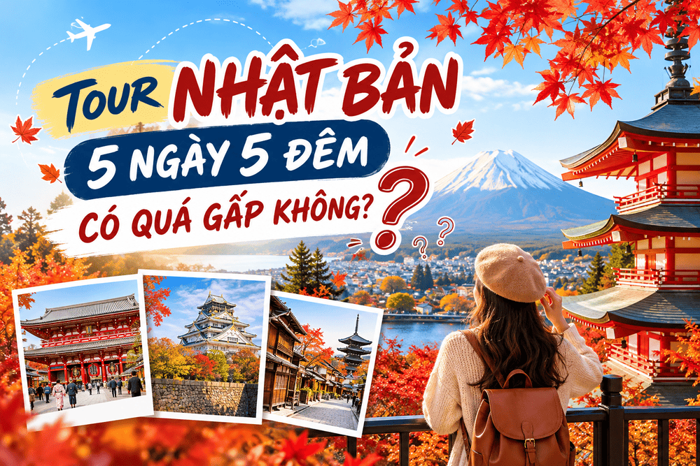 Tour Nhật Bản 5 ngày 5 đêm có quá gấp không và kinh nghiệm lựa chọn lịch trình phù hợp